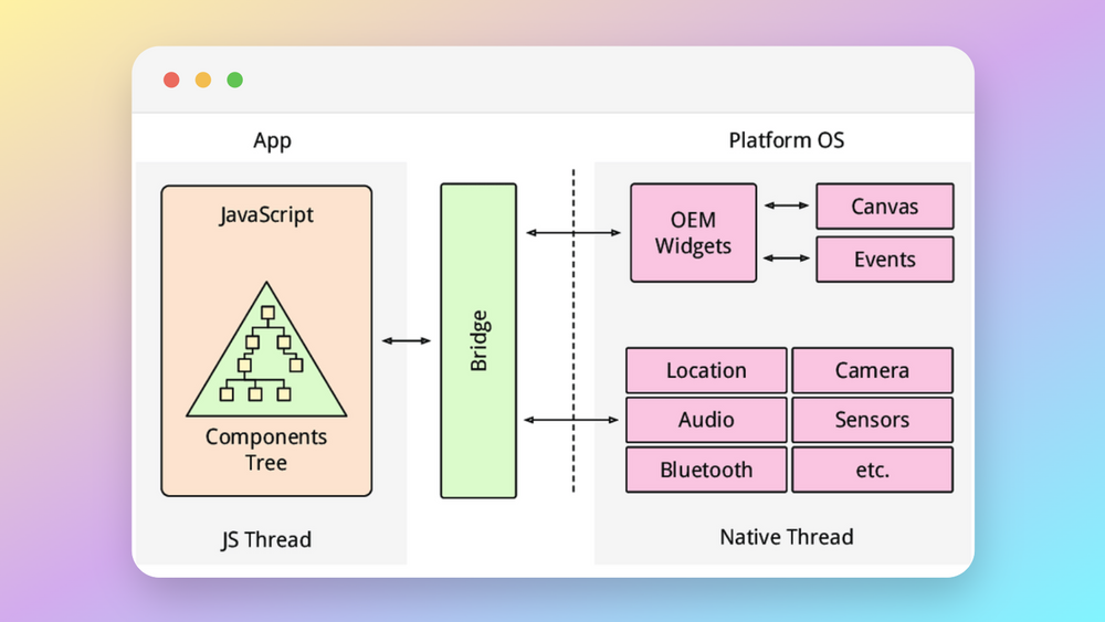 Flutter Vs React Native Which Framework Wins In