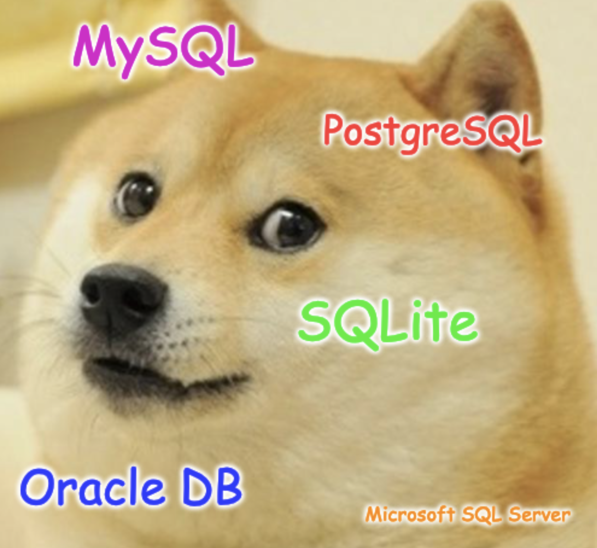 Best SQL Database